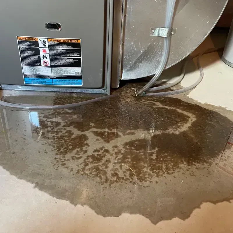 Appliance Leak Cleanup in Port Chester, NY